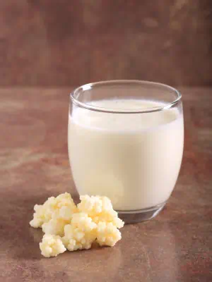 Probiyotik Kefir